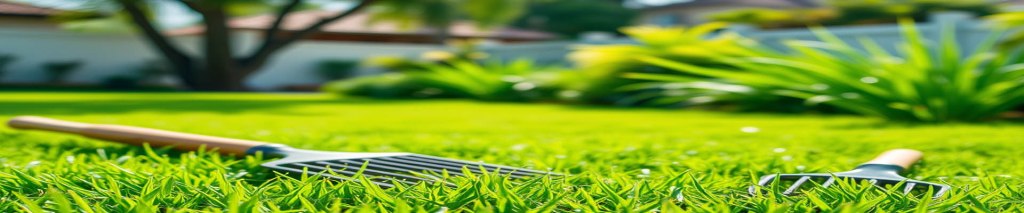 Dicas para Cuidar da Sua Grama&nbsp;Nova